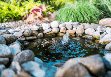 Backyard budget pond idea