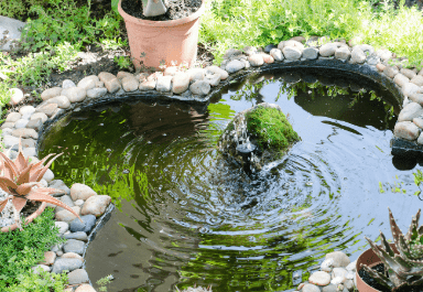 Backyard pond fountain idea