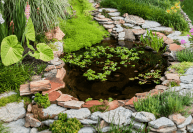 Backyard small pond idea