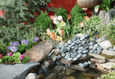 Backyard small pond idea