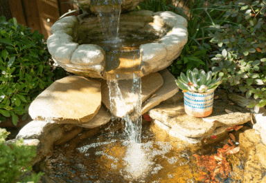 Backyard small pond idea