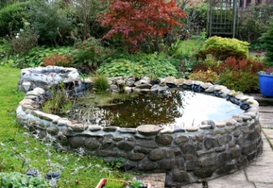 Koi Pond