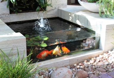 Koi Pond