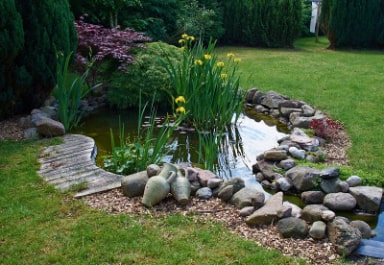 Koi Pond