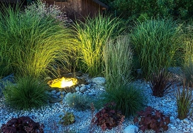 Small pond idea