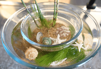 Small pond idea