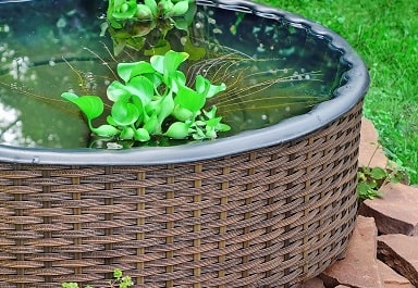 Small pond idea